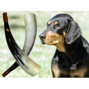 Kop&oacute;h&iacute;v&oacute; k&uuml;rt